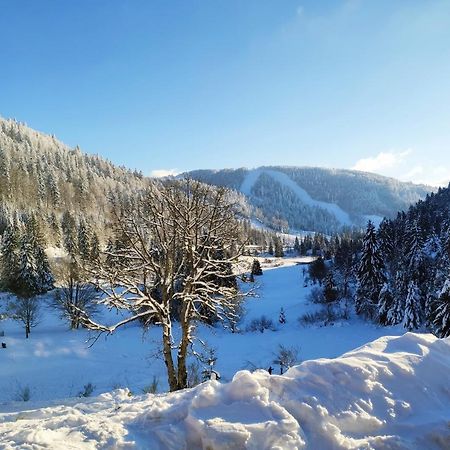 La Bresse - Appartement De Charme Dış mekan fotoğraf