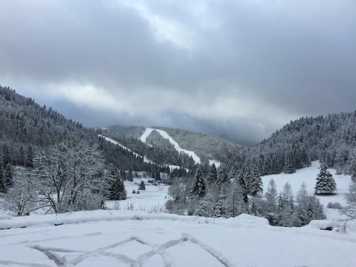 La Bresse - Appartement De Charme Dış mekan fotoğraf