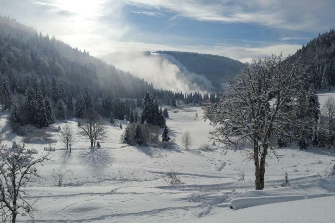 La Bresse - Appartement De Charme Dış mekan fotoğraf