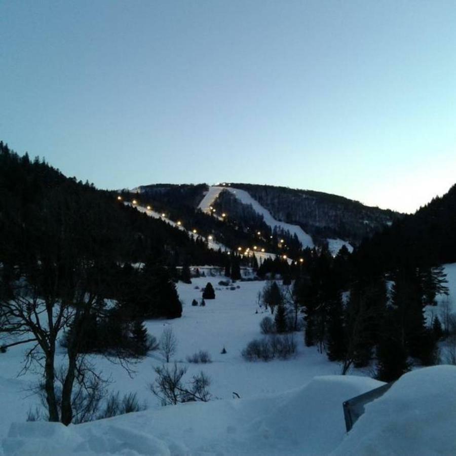 La Bresse - Appartement De Charme Dış mekan fotoğraf